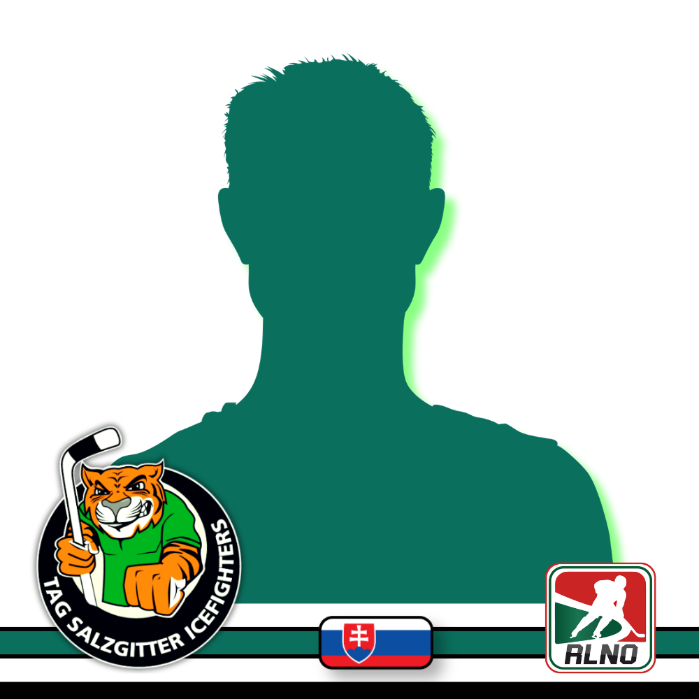 Portrait Leer slowakai 1000x1000 web